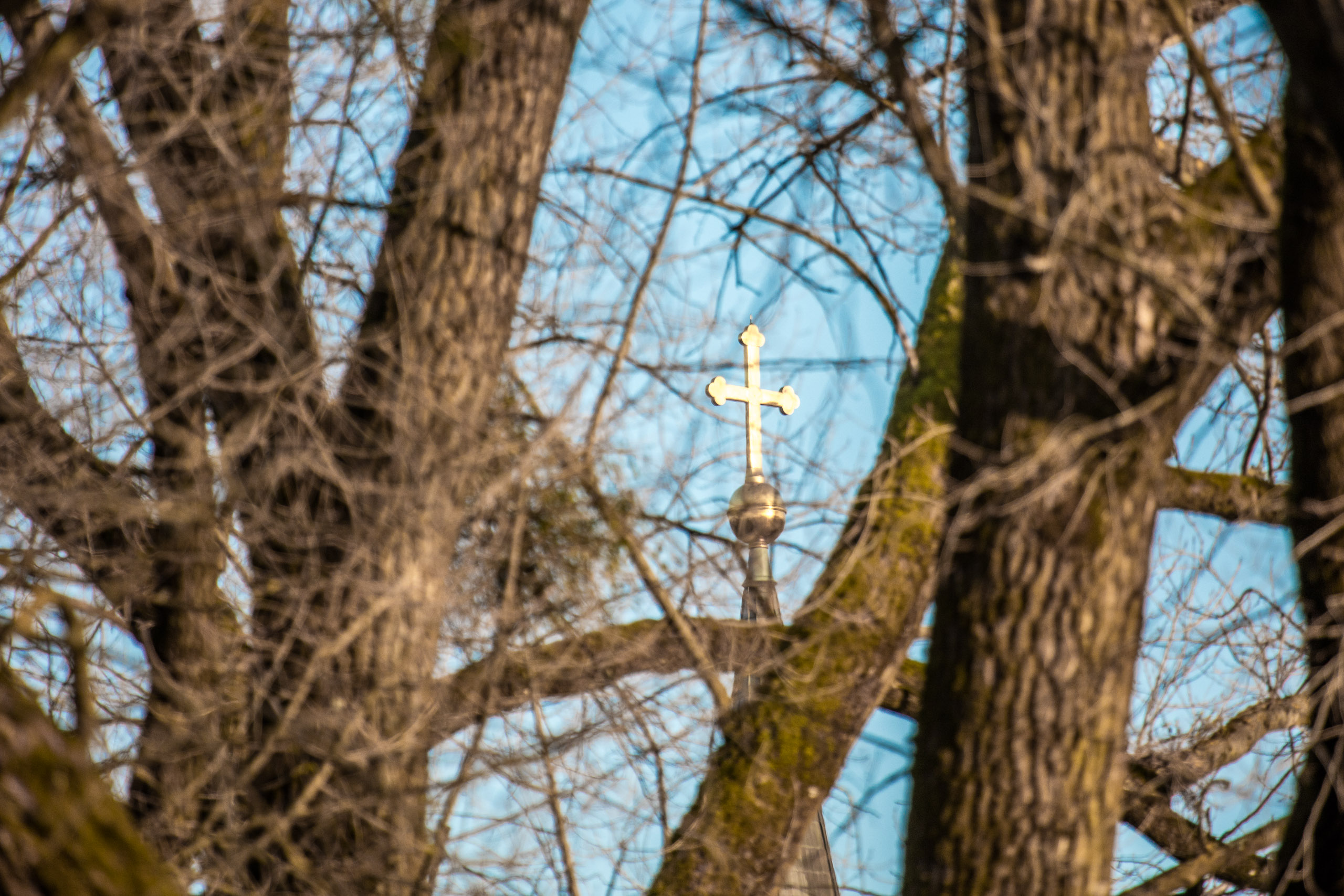 20160319174327 DP017860